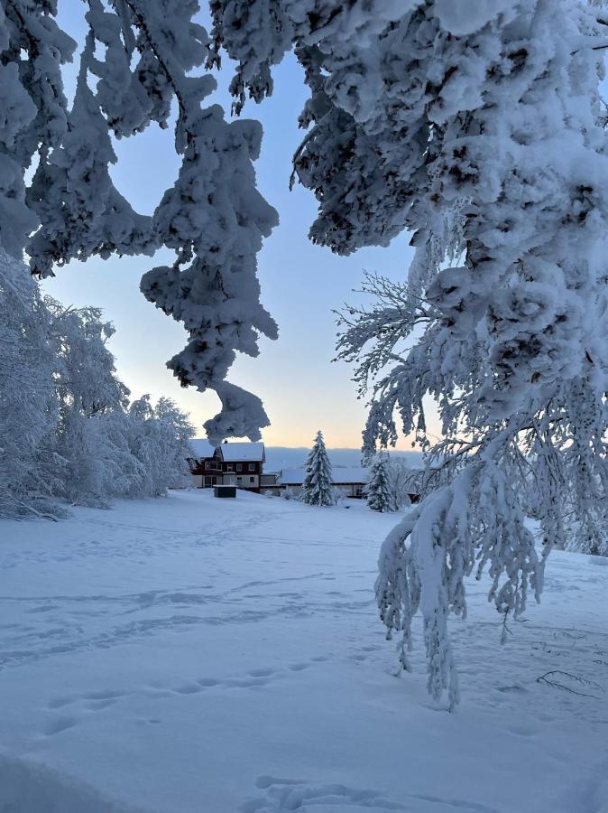 Gemuetliche Ferienwohnung Harz Braunlage Hohegeiss 외부 사진